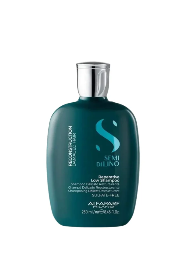 Shampoo Reconstruction 250 ml