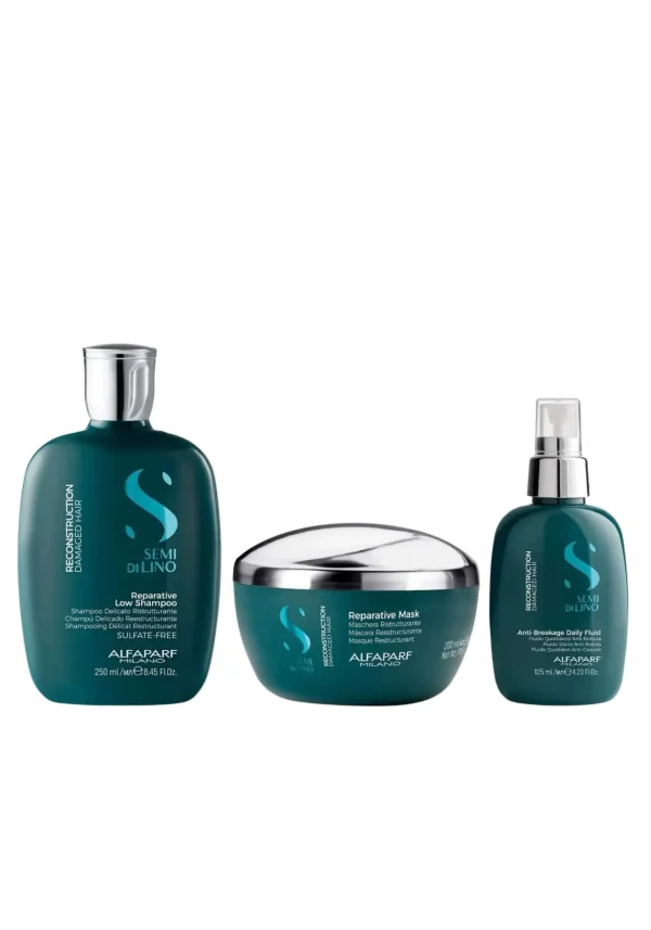 Reconstruction Shampoo 250ml + Mascarilla 200ml + Fluido 125ml